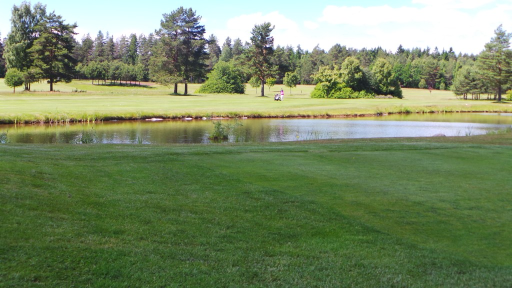 wpid-20130617_135026.jpg