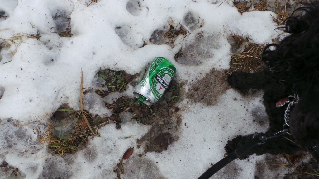 wpid-20140208_104604.jpg