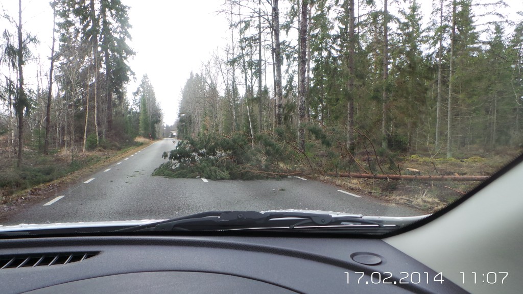 wpid-20140217_110747.jpg