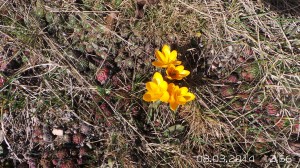 wpid-20140308_125656.jpg