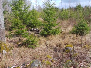 wpid-20140413_110113.jpg