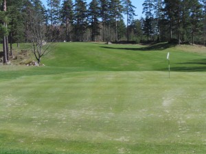 wpid-20140416_143710.jpg