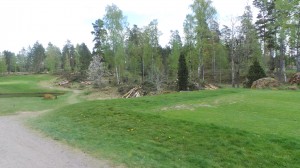 wpid-20140505_134324.jpg