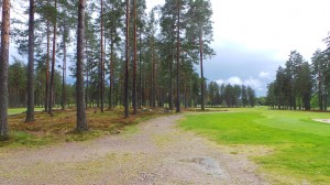wpid-20140513_133146.jpg
