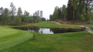 wpid-20140519_135257.jpg