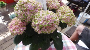 20140602_104851