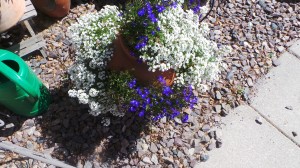 20140602_105111