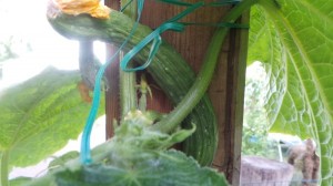 20140618_185138