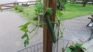 20140704_150544