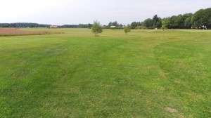 20140705_112915