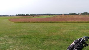 20140705_113443