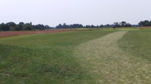 20140705_114358