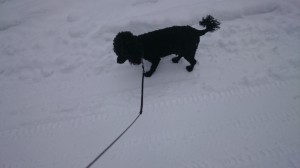 Hej snö