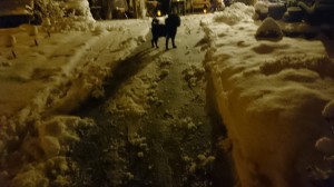 Nu går vi in