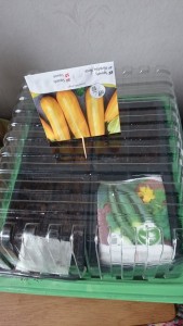 wpid-wp-1426432950303.jpeg