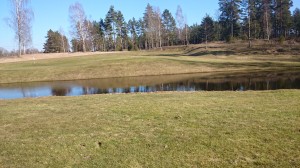 I den här pölen har jag lagt ett antal bollar, och gjorde så med en idag