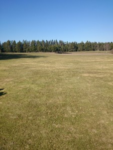 Min boll mitt i bilden