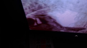 wpid-wp-1428515211903.jpeg