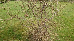 wpid-dsc_0279.jpg