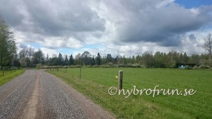 wpid-wp-1431277458797.jpeg