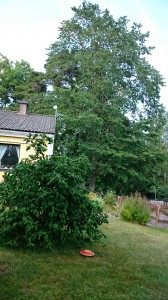 wpid-dsc_1405.jpg