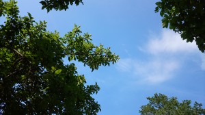 wpid-dsc_1408.jpg