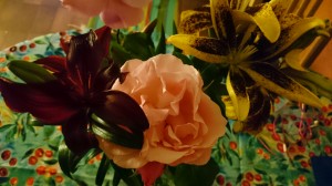 wpid-wp-1436127964280.jpeg