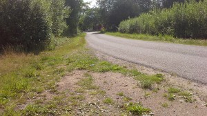 wpid-20150801_144025.jpg