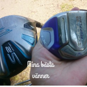 wpid-wp-1438976112700.jpeg