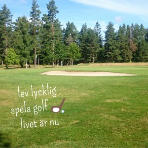 wpid-wp-1439487663576.jpeg