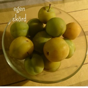 wpid-wp-1439922107958.jpeg
