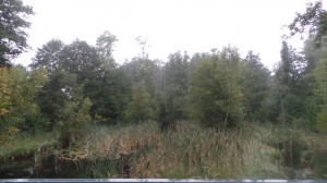 wpid-20150901_175505.jpg