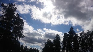 wpid-dsc_1657.jpg
