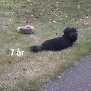 wpid-wp-1441387924682.jpeg