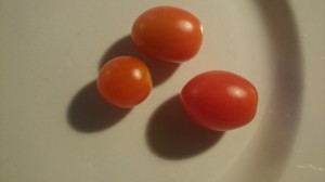 wpid-wp-1441646211218.jpeg