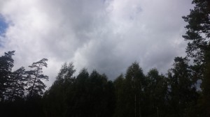 wpid-wp-1442598467792.jpeg