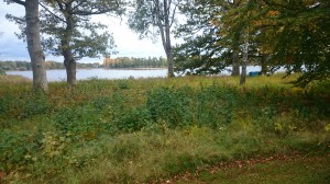 wpid-dsc_1795.jpg